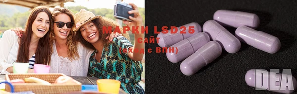 2c-b Корсаков