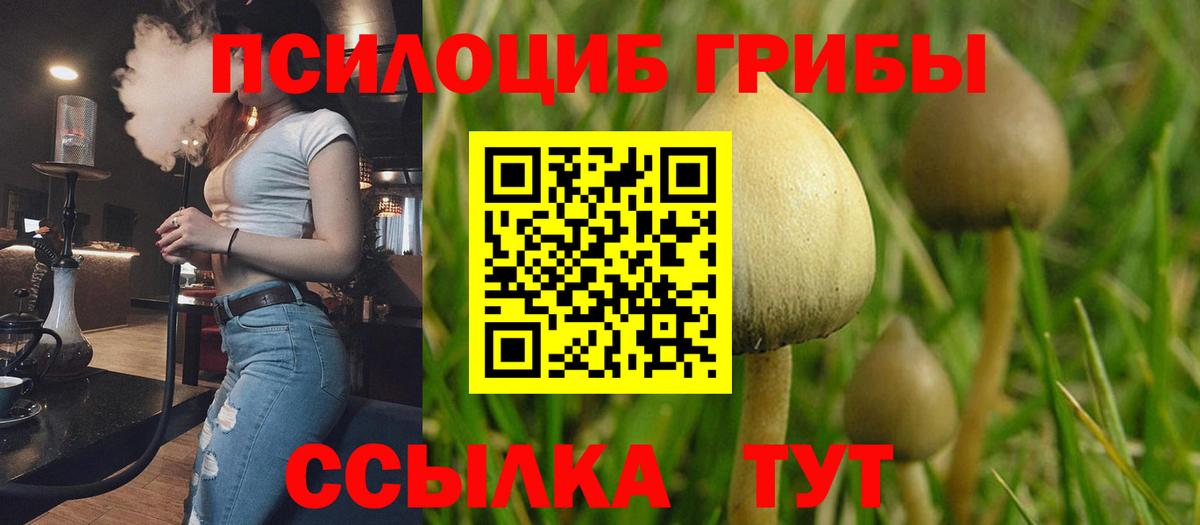 Пенза  Псилоцибиновые грибы мицелий  Вход с VPN 